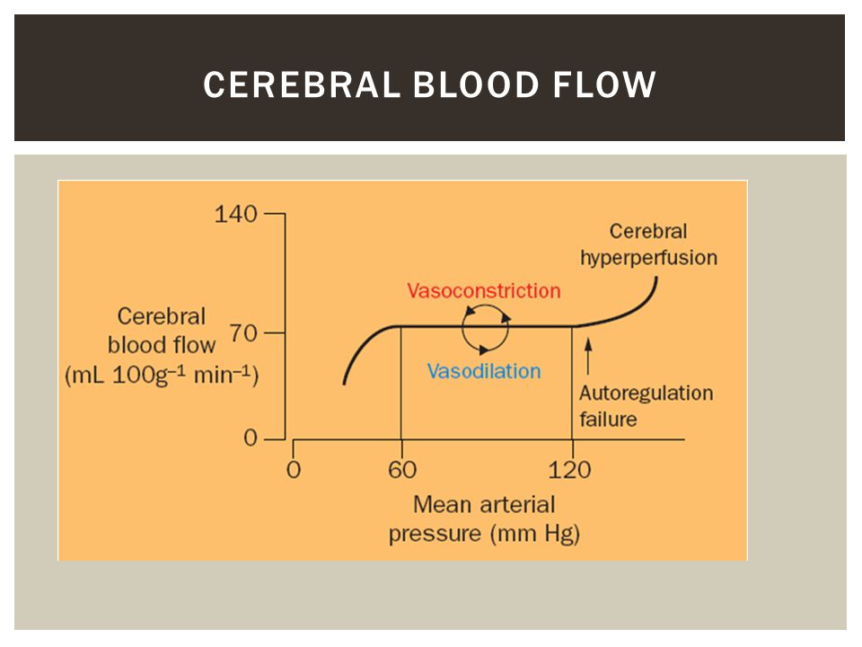 cilostazol cerebral blood flow